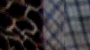 Photo by ©fitopardo.com / Moment