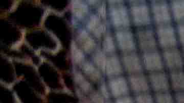 Photo by ©fitopardo.com / Moment