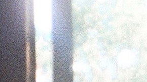 Photo by Fernando Cattori