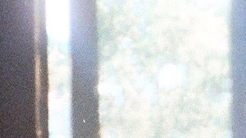 Photo by Fernando Cattori