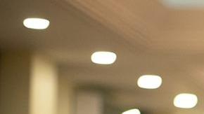 Photo courtesy of the artist