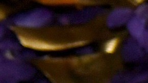 Jharrel Jerome attends the Governors Ball during the 71st Emmy Awards on September 22, 2019 in Los Angeles, California. Photo by Kevin Winter/Getty Images