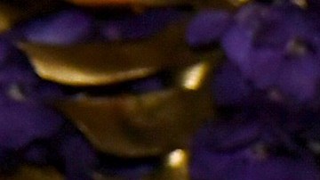 Jharrel Jerome attends the Governors Ball during the 71st Emmy Awards on September 22, 2019 in Los Angeles, California. Photo by Kevin Winter/Getty Images