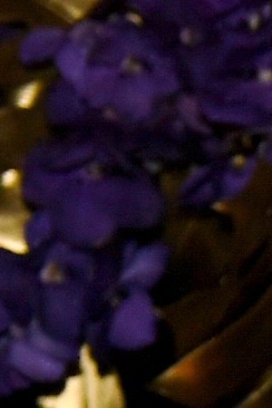 Jharrel Jerome attends the Governors Ball during the 71st Emmy Awards on September 22, 2019 in Los Angeles, California. Photo by Kevin Winter/Getty Images