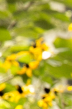 Photo by Itzel Alejandra Martinez for Remezcla