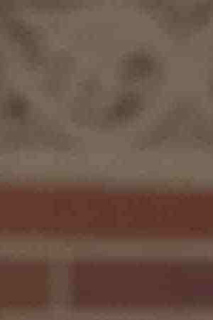 Courtesy of John D. & Catherine T. MacArthur Foundation