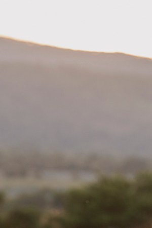 Photo by Ana Cristina Blumenkron. Courtesy of Netflix