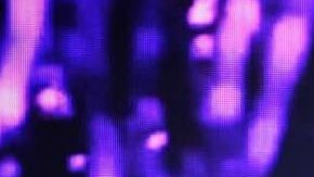 Photo courtesy of the artist