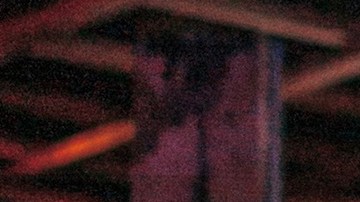 Photo courtesy of the artist