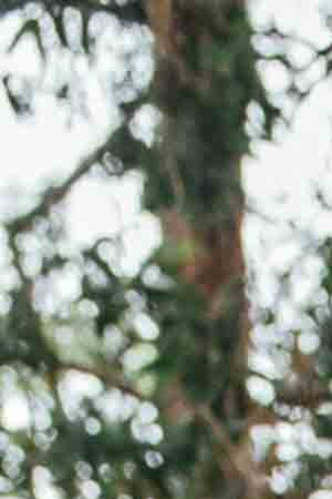 Photo by Alejandro Berber for Remezcla