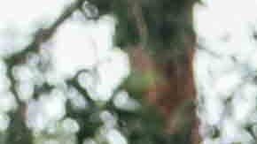 Photo by Alejandro Berber for Remezcla