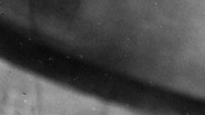 Courtesy of Fantastic Fest