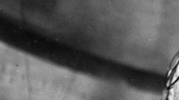 Courtesy of Fantastic Fest