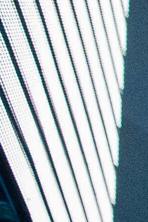 Sech performs at La Boom in Woodside, Queens. Photo by Roy Baizan for Remezcla