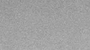 Photo courtesy of the artist