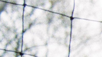 Photo by Rachel Cabitt