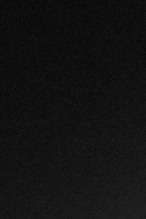 Photo courtesy of the artist