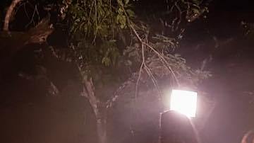 Courtesy of 'Diablo Rojo PTY' Facebook page. Photo by @erickmaga507