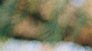 Photo by Manuela Bocaz