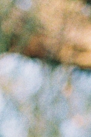 Photo by Manuela Bocaz