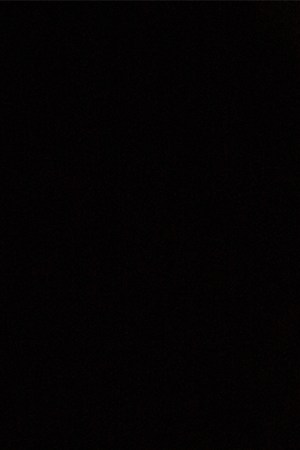 Photo courtesy of the artists