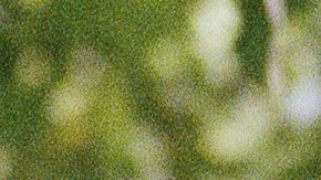 Photo courtesy of the artist