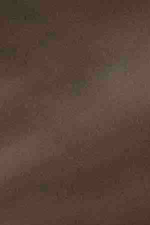 An updated "Echo Dot" (L) is pictured next to an older generation "Echo Dot" at Amazon Headquarters, on September 20, 2018 in Seattle Washington. Photo by Stephen Brashear/Getty Images