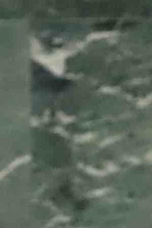 María Fernanda Espinosa Garcés, President of the 73rd Session of the General Assembly speaks at the event on September 25, 2018 in New York City. Photo by John Moore/Getty Images