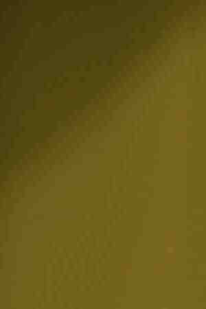 Spanish film director, screenwriter and producer Pedro Amodovar attends "Women On The Verge Of A Nervous Breakdown" Opening Night at Belasco Theatre on November 4, 2010 in New York City. Photo by Neilson Barnard/Getty Images