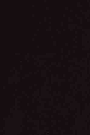 Members of the migrant caravan turn themselves in to a U.S. Border Patrol agent after climbing over the U.S.-Mexico border fence on December 3, 2018 while crossing into San Diego, CA from Tijuana, Mexico. Photo by John Moore/Getty Images