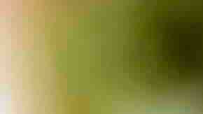 Photo by arturogi / E+