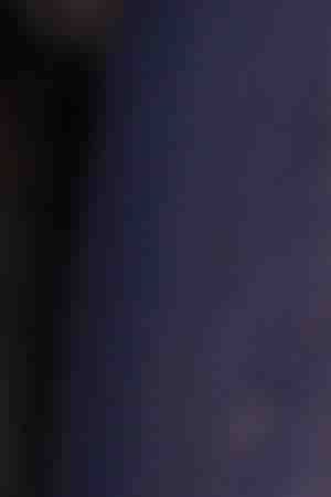 Photo by Lutfi Hanafi / iStock / Getty Images Plus