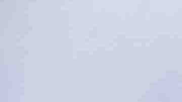 An activist holds sign as she participates in a news conference on immigration September 9, 2019 on the ground of the U.S. Capitol in Washington, DC. Photo by Alex Wong/Getty Images