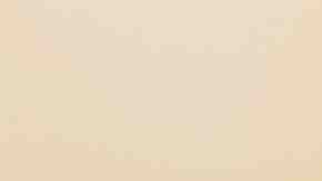 Photo by OlgaMiltsova / iStock / Getty Images Plus