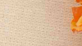 Photo by agcuesta / iStock / Getty Images Plus