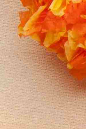 Photo by agcuesta / iStock / Getty Images Plus