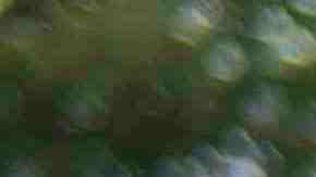 A woman raises her fist at the front of a march down Washington Avenue to protest racism and the violence over the weekend in Charlottesville, Virginia on August 14, 2017 in Minneapolis, Minnesota. Protesters estimated at more than 1,000 blocked streets and light rail during the action. Photo by Stephen Maturen/Getty Images