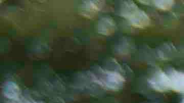 A woman raises her fist at the front of a march down Washington Avenue to protest racism and the violence over the weekend in Charlottesville, Virginia on August 14, 2017 in Minneapolis, Minnesota. Protesters estimated at more than 1,000 blocked streets and light rail during the action. Photo by Stephen Maturen/Getty Images
