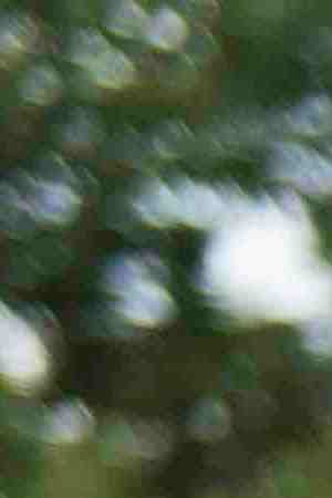 A woman raises her fist at the front of a march down Washington Avenue to protest racism and the violence over the weekend in Charlottesville, Virginia on August 14, 2017 in Minneapolis, Minnesota. Protesters estimated at more than 1,000 blocked streets and light rail during the action. Photo by Stephen Maturen/Getty Images