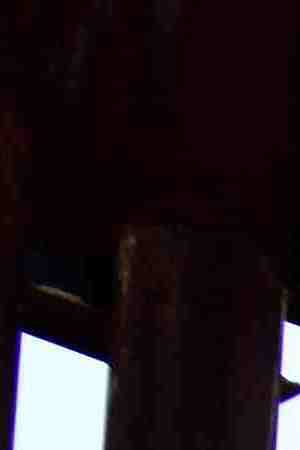 Photo by Feifei Cui-Paoluzzo / Moment