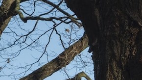 Photo by Claire Folger.  Courtesy of Lionsgate.