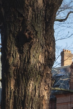 Photo by Claire Folger.  Courtesy of Lionsgate.