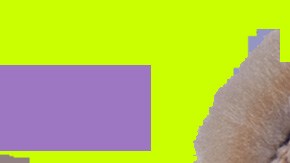 Art by Alan López for Remezcla