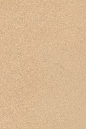 Photo courtesy of the artist