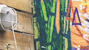 Photo by Ana Fuentes