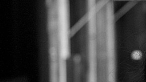 Song Without a Name Canción sin nombre