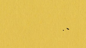 'The Casagrandes' image courtesy of Nickelodeon