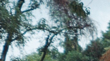 Photo courtesy of the artist