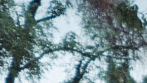 Photo courtesy of the artist