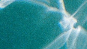 Photo courtesy of the artist